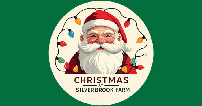 Christmas at Silverbrook Farm