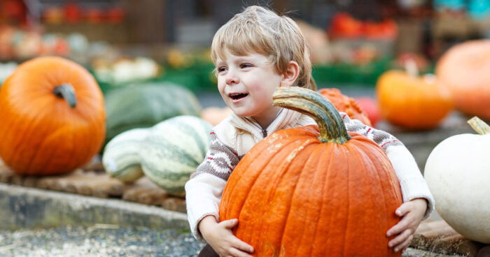 Fall Festival