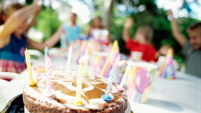 Farm Birthday Party